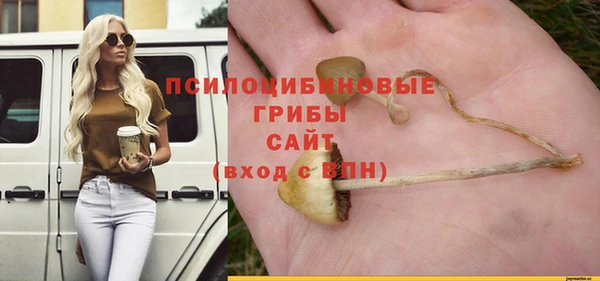 МДПВ Карталы