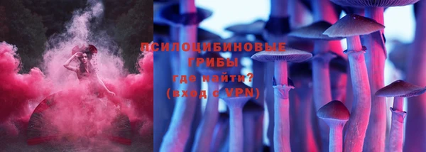 МДПВ Карталы