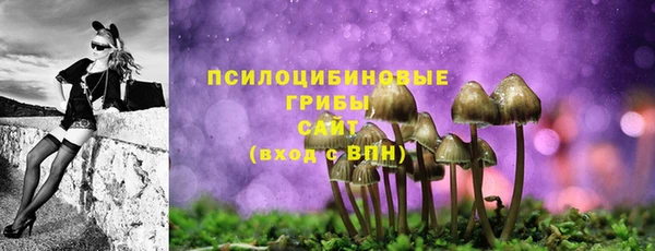 МДПВ Карталы