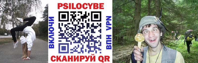 Купить  Полевской  Псилоцибиновые грибы мухоморы 